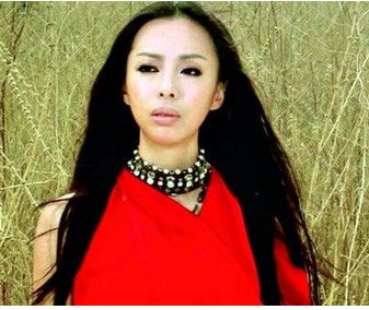 ���ɺ�������Ϻ͸��� ���ɺ�������