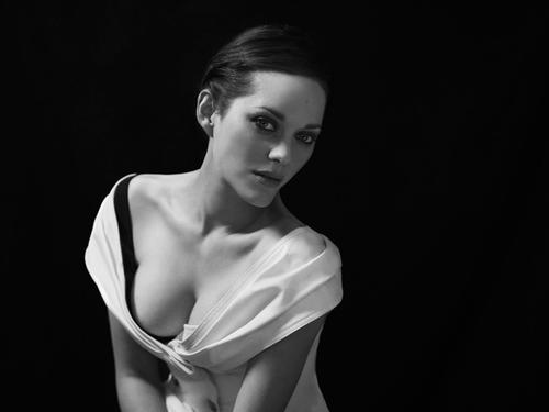 NO2Marion Cotillard Marion Cotillard�Ƿ�����һ����Ա��������1975��9��30�գ��������С�õ���������͡��������ڰ���ʿ���𡷵ȵ�Ӱ��Ʒ�� 