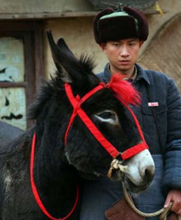 ����ˣ����ΰ�Żع�