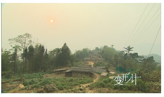 ���ս�Ŀ���а�