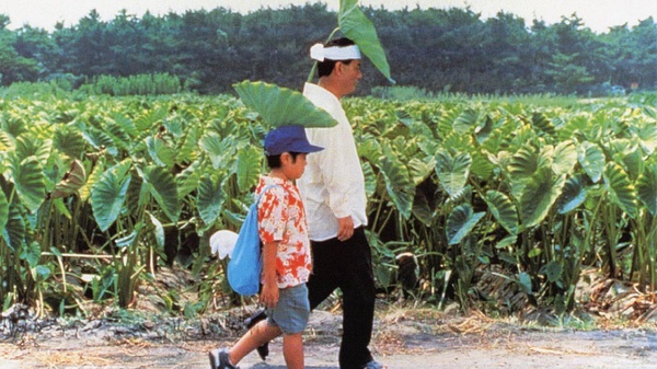 �մ��ɵ�����