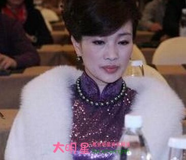 ������,����