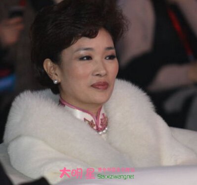 ������,����