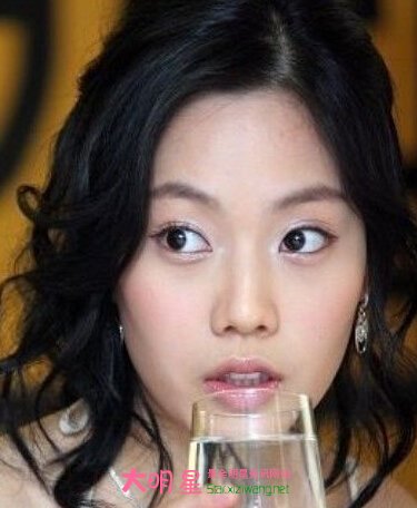 ���������,����Ӣ,��¹��