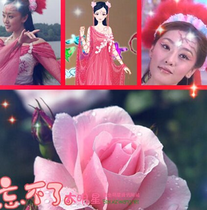 ����ϲ������Ů,����