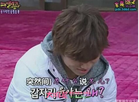 ���嵮��,������