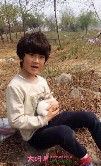 ɭ������