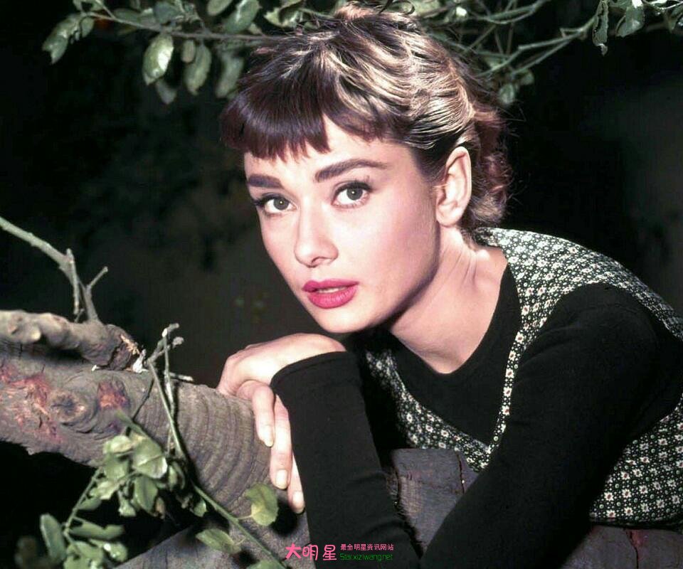 ������-�ձ�