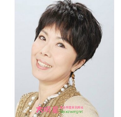 �ؾ�Ӣ������Ƭ