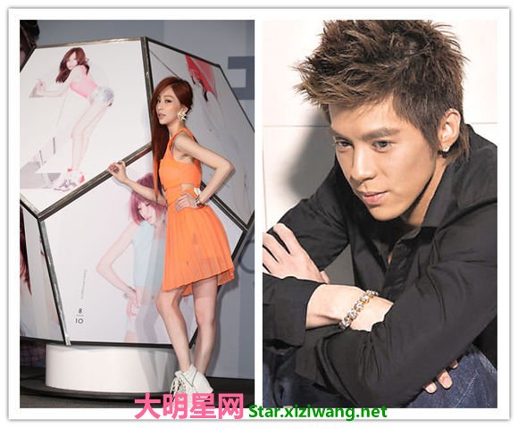 ŷ����������