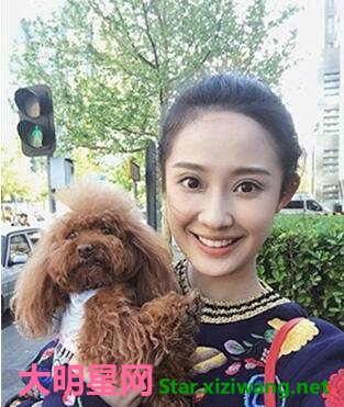 ����,�����,�����